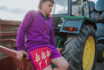 Load image into Gallery viewer, Bicton Quarter Zip Sweatshirt- Purple and Pink